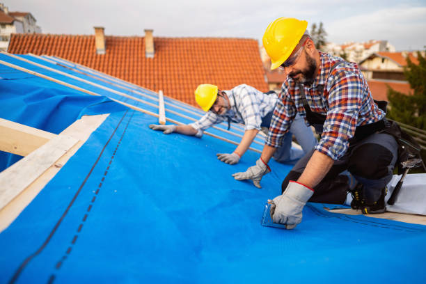 Trusted Lesslie, SC Roofing Contractor Experts