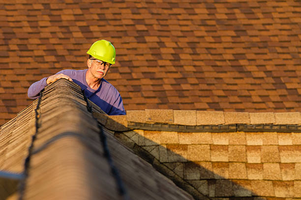 Best Roof Maintenance Services  in Lesslie, SC