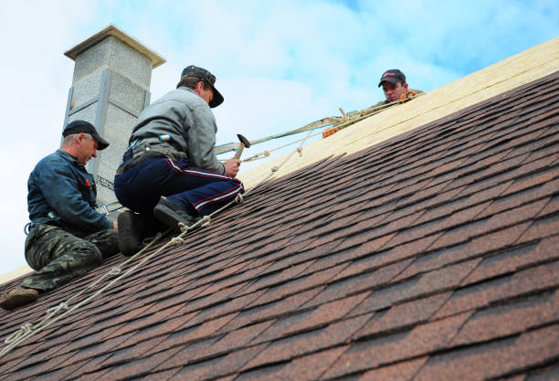 Best Roof Maintenance Services  in Lesslie, SC