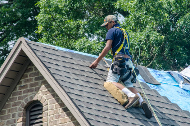 Best Gutter Installation and Roofing  in Lesslie, SC